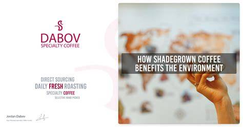 Go Green with Shade-Grown Coffee: Discover the Ecological Benefits ... - raincitystudios.com