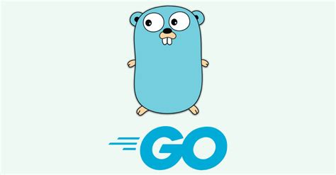 Go Language Basics - coolestguyplanet.net