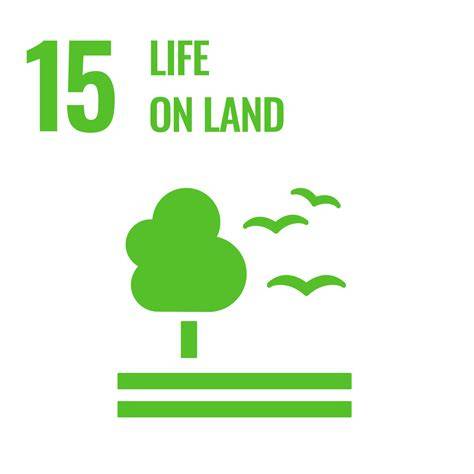 Goal 15: Forests, desertification and biodiversity - United Nations ... - raincitystudios.com