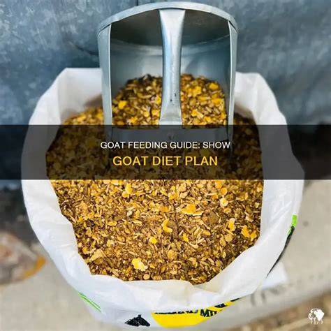 Goat Feed Detail Information Guide - FarmingX - raincitystudios.com