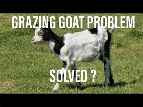 Goat grazing problem - wintechmobiles.com