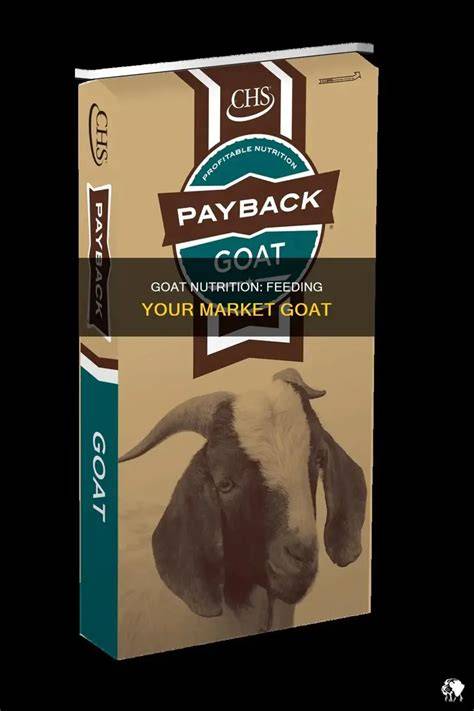Goat Nutrition and Feeding | Penn State Extension - raincitystudios.com