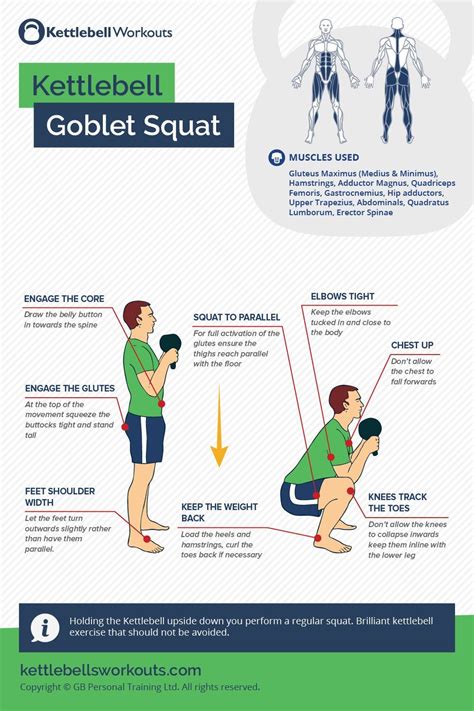 Goblet Squat Melatih Otot Apa - balustradellc