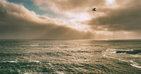 God Brings Us Suffering for Others’ Sake - Desiring God - balustradellc