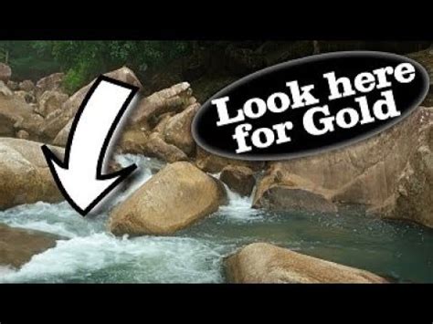 GOLD RUSH Expert Shares Top Hydrodynamic Model Tips! - balustradellc