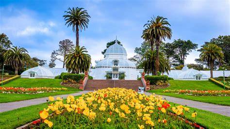 Golden Gate Park - raincitystudios.com