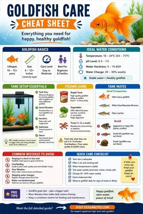 Goldfish Care Guide: Types, Setup, Feeding & Health Tips - raincitystudios.com