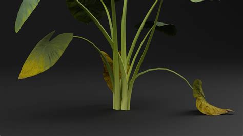 Golevez Plant Realistic - 3D Model by Tree52787 - RenderHub - muktibox.com