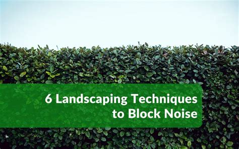 Good Neighbours: How to Stop Your Outdoor Noise … - balustradellc