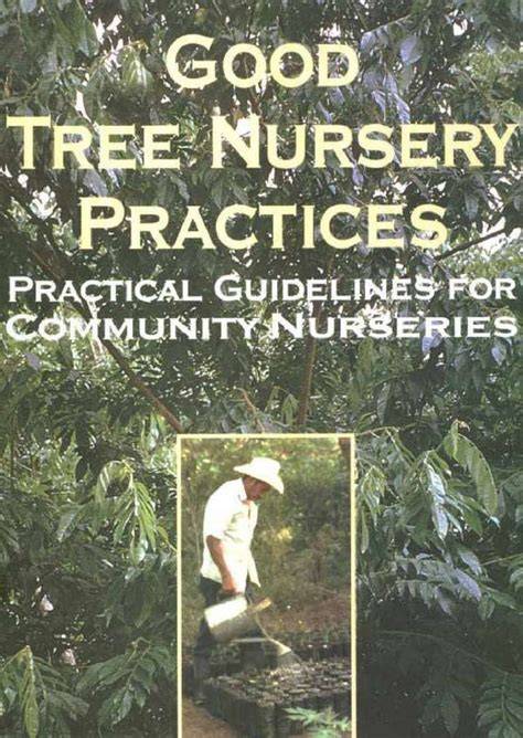GOOD TREE NURSERY PRACTICES - raincitystudios.com