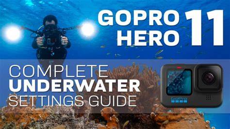 GoPro HERO 11 Underwater Settings for Photos & Videos - raincitystudios.com