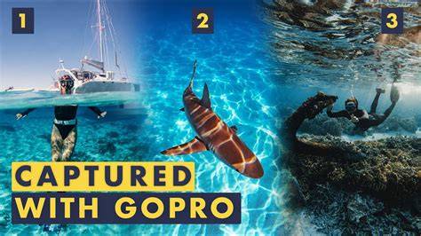 GoPro Underwater Photography Tips | Amazing Quality! - raincitystudios.com