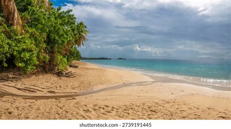 Gorgeous palm tree-lined sandy beaches providing access to rich coral ... - balustradellc