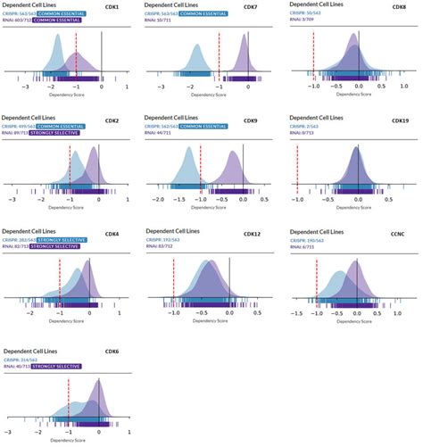 GOS3 DepMap Cell Line Summary