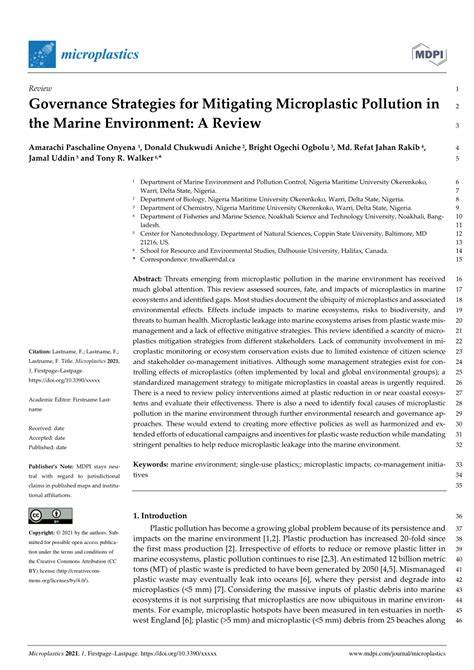 Governance Strategies for Mitigating Microplastic … - raincitystudios.com