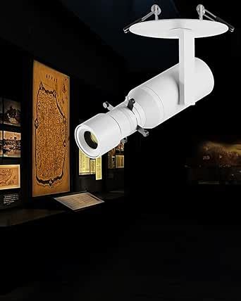 Gpaillumic 18W Shapeable Light, Adjustable Directional ... - Amazon - balustradellc