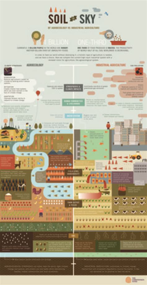 GRAIN Soil to sky: agroecology vs. industrial agriculture