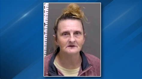 Grandmother arrested at gunpoint after AI facial recognition system ... - coolestguyplanet.net