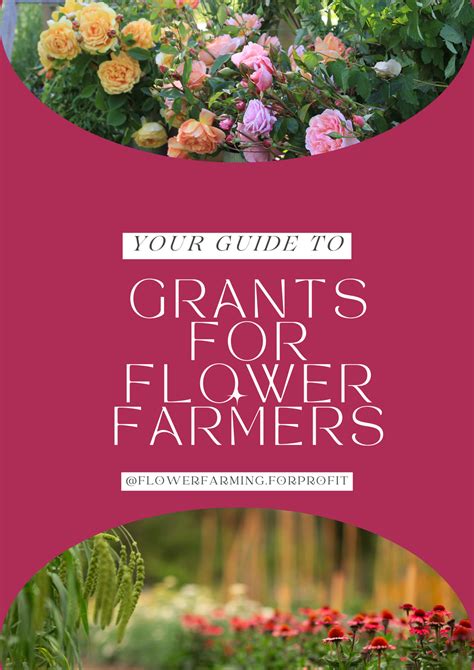 Grants for Flower Farmers - Flower Farming For Profit - raincitystudios.com