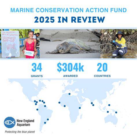 Grants for Marine Conservation and Oceanic … - raincitystudios.com