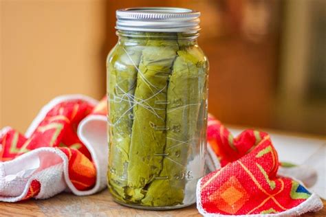 GRAPE LEAF PICKLES RECIPES All You Need is Food - Stevehacks