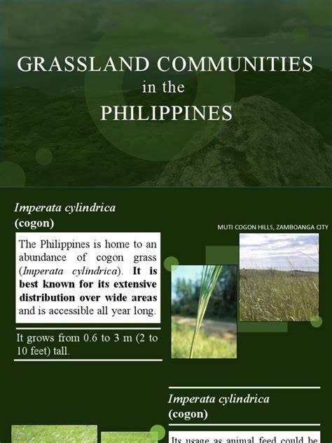 Grassland Communities in the Philippines | PDF - raincitystudios.com