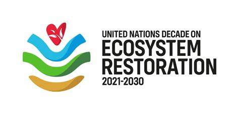 Grasslands and savannahs in the UN Decade on Ecosystem Restoration - raincitystudios.com