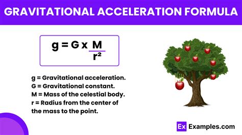 Gravitational acceleration - wintechmobiles.com