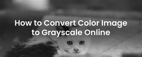 Grayscale image online - PineTools - raincitystudios.com