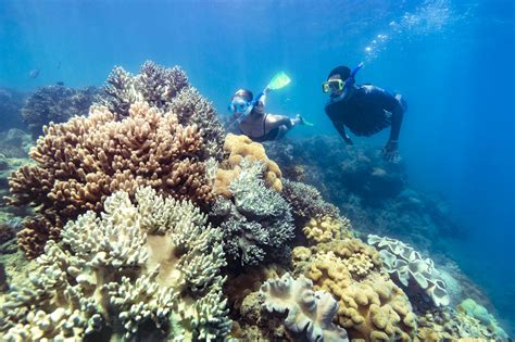 Great Barrier Reef - wintechmobiles.com