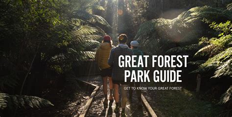 Great Forest Park Reviews & Ratings: What to Know … - raincitystudios.com