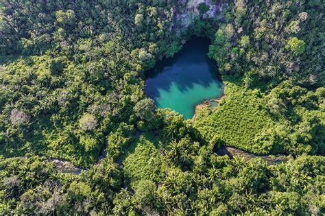 Great Maya Forest, Belize - Global Conservation - raincitystudios.com