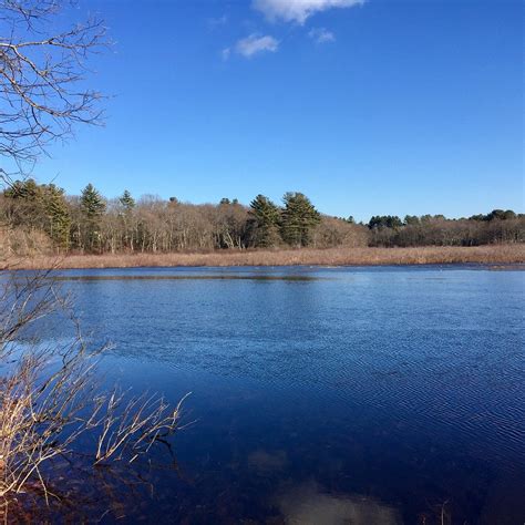 GREAT MEADOWS WILDLIFE REFUGE (Sudbury) - Tripadvisor