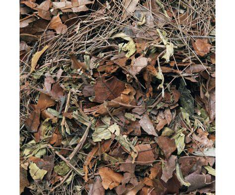 Great mulch from leaf litter - New Straits Times - raincitystudios.com