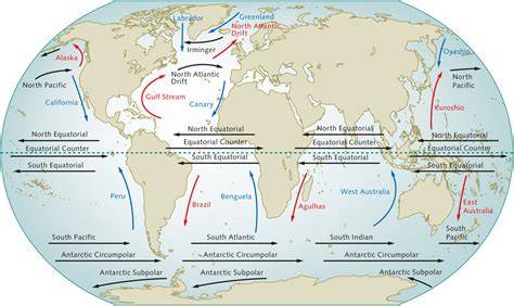 Great ocean currents - World Ocean Review - raincitystudios.com