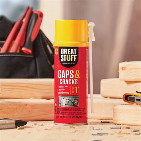 GREAT STUFF Gaps and Cracks 12 oz Straw Indoor/Outdoor …