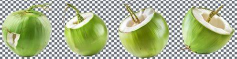 Green Coconut Can Generate More Profit - Crops Review - raincitystudios.com