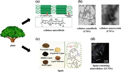 Green Materials for Radiation Shielding: An Overview - wintechmobiles.com
