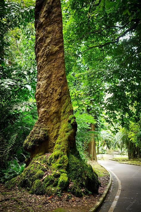Green Refresh Mind Landscape royalty-free images - balustradellc