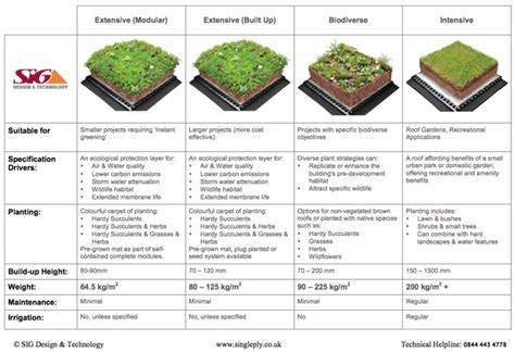 Green Roof Weight Limitations: Understanding the Basics - raincitystudios.com