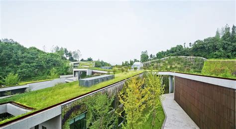 Green Roofs: Everything You Need to Know About These Lush and Vibrant ... - balustradellc