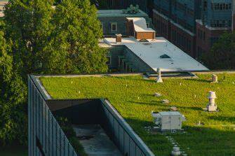 Green roofs can cool cities and save energy: modelling - raincitystudios.com