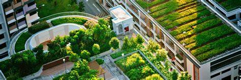 Green roofs save energy in cities and fight regional climate change - raincitystudios.com