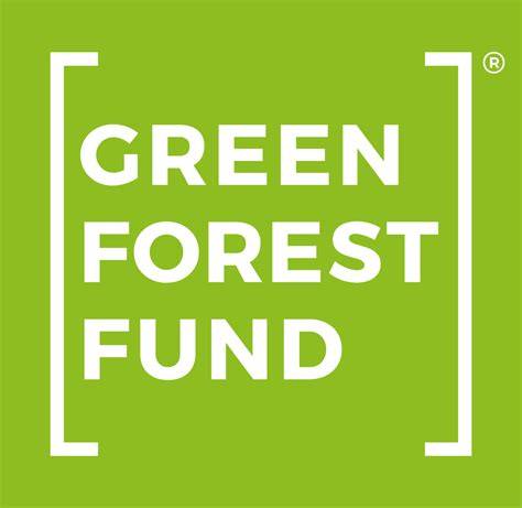 Green Roots Reforestation Fund Charity - raincitystudios.com