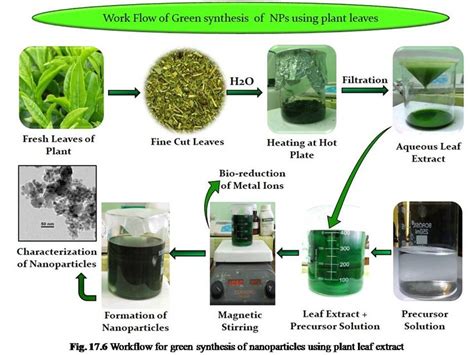 Green Synthesis of Silver Nanoparticles from Plant Extracts for the ... - wintechmobiles.com