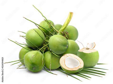 Green Young Coconut royalty-free images - Shutterstock - raincitystudios.com