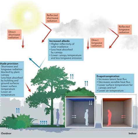 Greenery as a mitigation and adaptation strategy to urban heat - raincitystudios.com