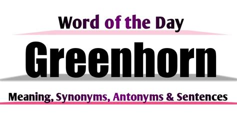 GREENHORN meaning in Hindi: 2 words in English Hindi …