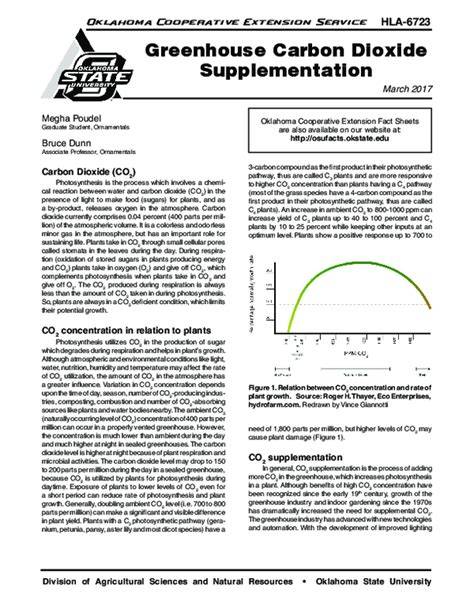 Greenhouse Carbon Dioxide Supplementation - raincitystudios.com