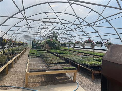 Greenhouse construction | Farmio Ghana - balustradellc